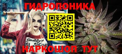 твердый Камышлов