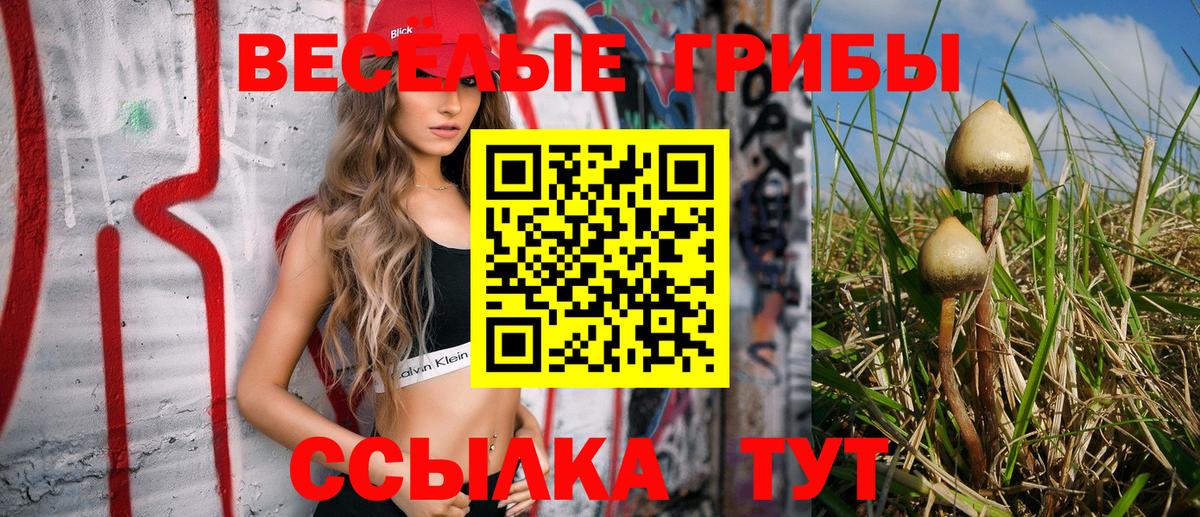 закладки  Вход с VPN  Избербаш  Галлюциногенные грибы Cubensis 