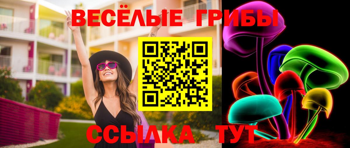 Псилоцибиновые грибы Psilocybe Избербаш